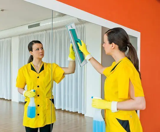 Komplet za čiščenje oken TTS Clean Glass PRO Kit Komplet za čiščenje oken TTS Clean Glass PRO Kit