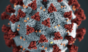 Epidemija koronavirus covid-19