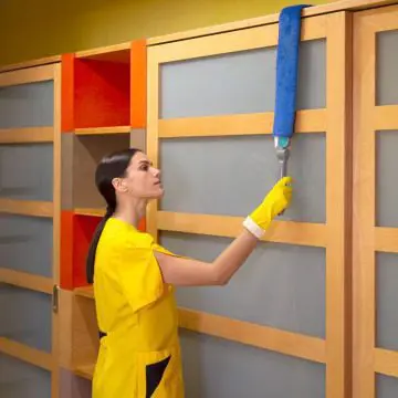 Brisalo za prah TTS Bendy Frame, upogljivo
