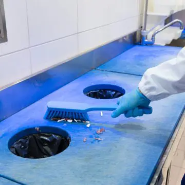 Metlica z ročajem Igeax, modra Vikan