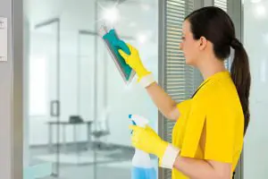 Čistilka čisti steklo z držalom krpe TTS Clean Glass
