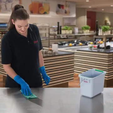 antibakterijska krpa vileda micron quick