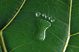 Trajnostno čiščenje - zmanjšajte vaš ogljični odtis!