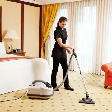 Sesalnik za suho sesanje Sebo Professional D8