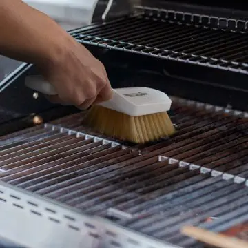 Temperaturno odporna ščetka za čiščenje žara Igeax