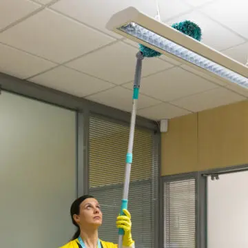 Profesionalno Brisalo za prah TTS Buffy na teleskopskem držalu