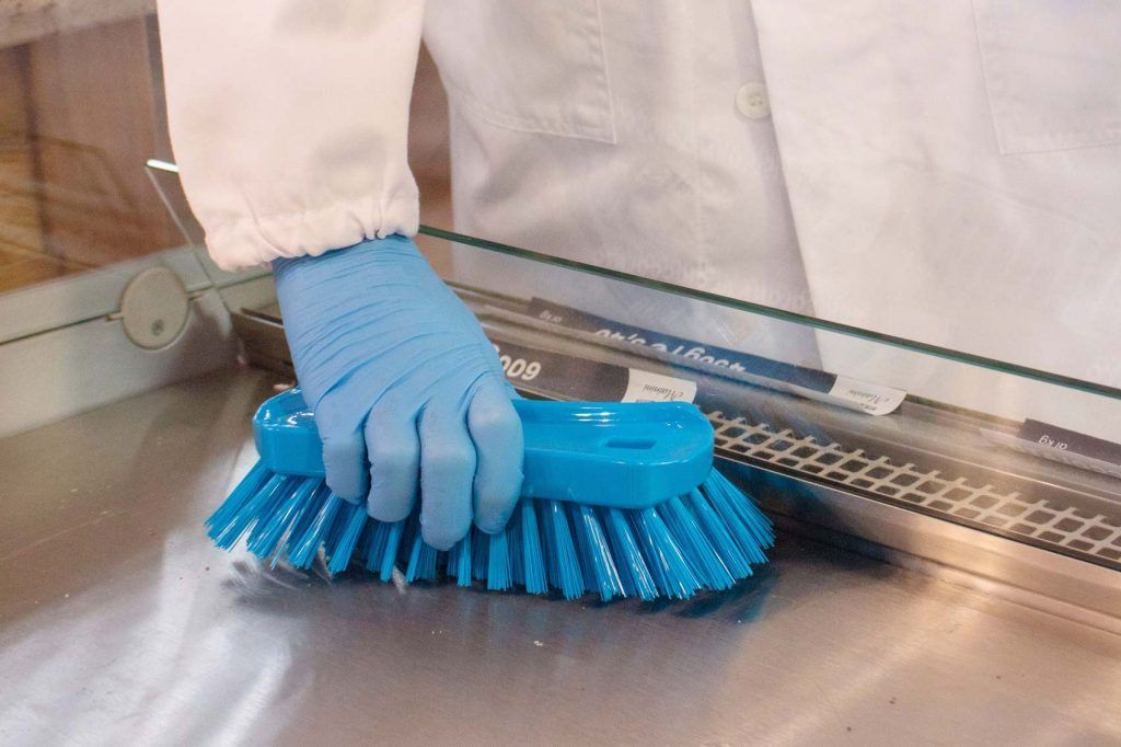 Krtača modre barve za čiščenje v prehrambeni industriji Igeax